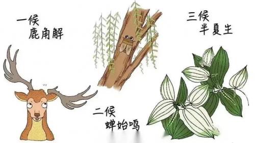 今日夏至|愿所有美好亦如約而至！